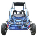Childrens Offroad Sand 4 Wheel Drive China Buggy